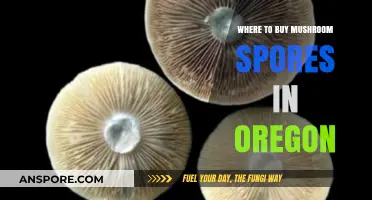 Oregon's Top Sources for Buying Quality Mushroom Spores Legally