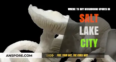 Best Places to Buy Mushroom Spores in Salt Lake City