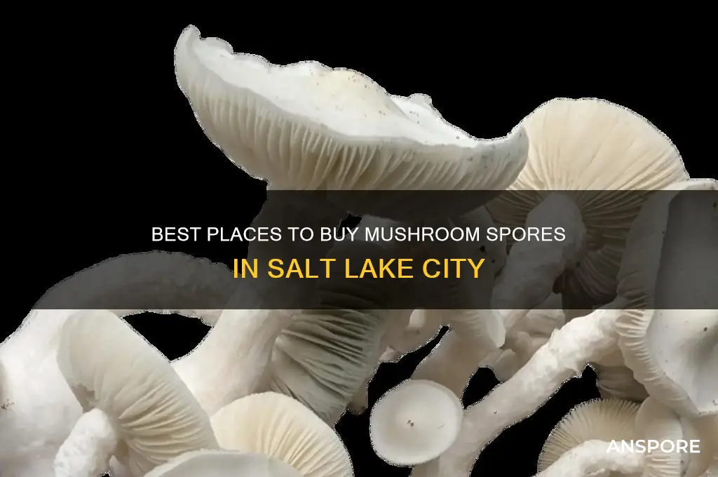 where to buy mushroom spores in salt lake city