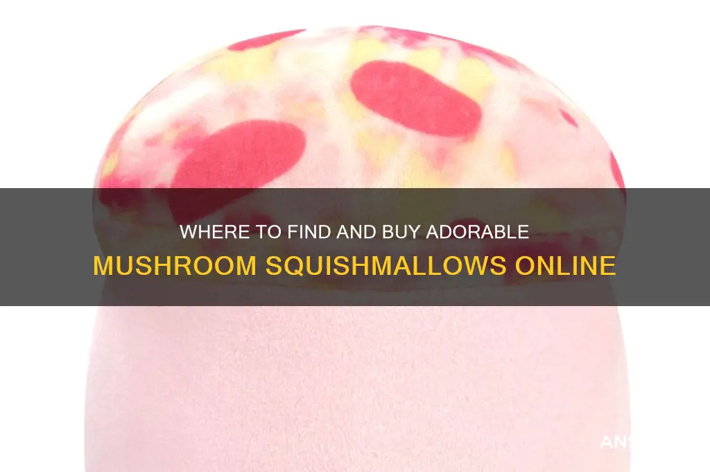 where to buy mushroom squishmallow