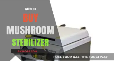 Best Places to Purchase Mushroom Sterilizer Equipment Online