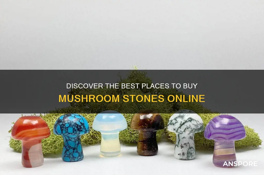 where to buy mushroom stones