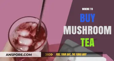 Discover the Best Places to Buy Mushroom Tea Online