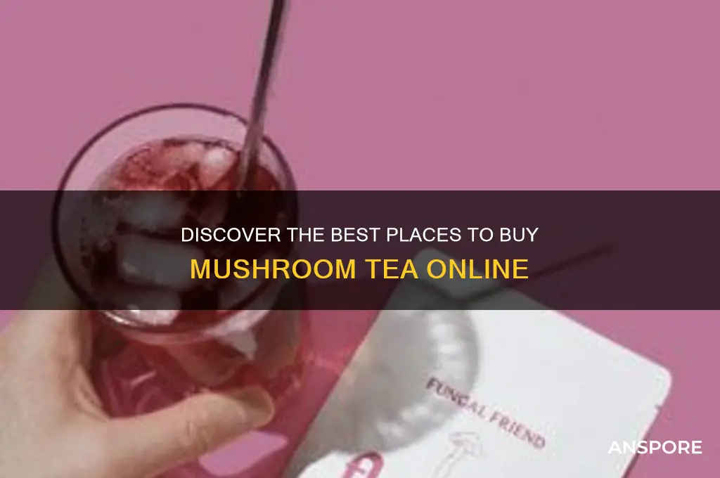 where to buy mushroom tea