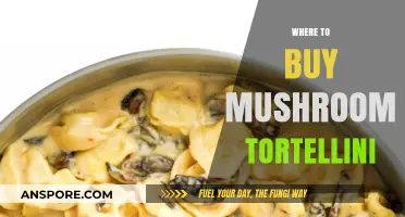 Discover the Best Places to Buy Mushroom Tortellini Online & In-Store