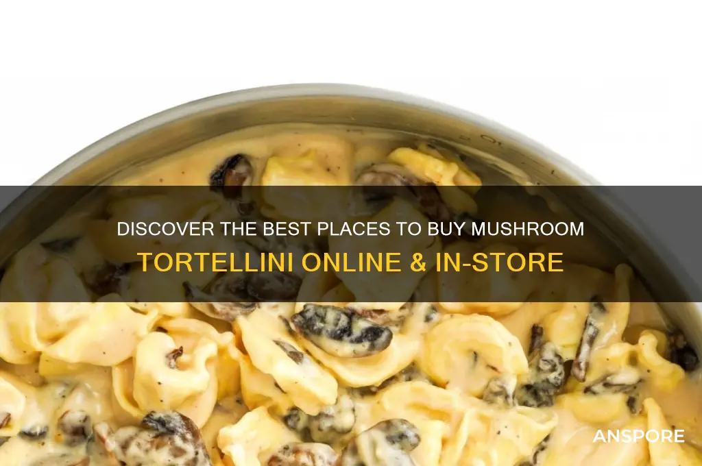 where to buy mushroom tortellini