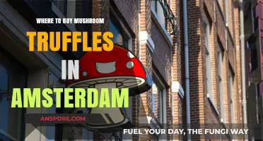 Discover Amsterdam's Best Shops for Mushroom Truffles: A Buyer's Guide