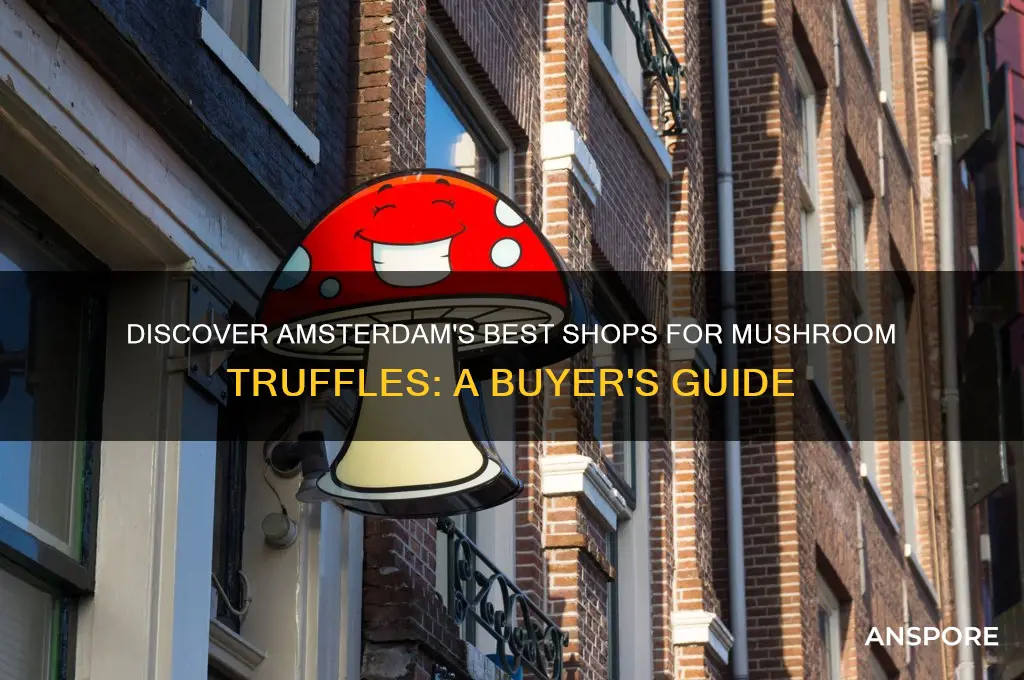 where to buy mushroom truffles in amsterdam
