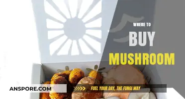 Discover the Best Places to Buy Fresh and Exotic Mushrooms