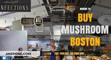 Best Spots to Buy Fresh Mushrooms in Boston: A Local's Guide