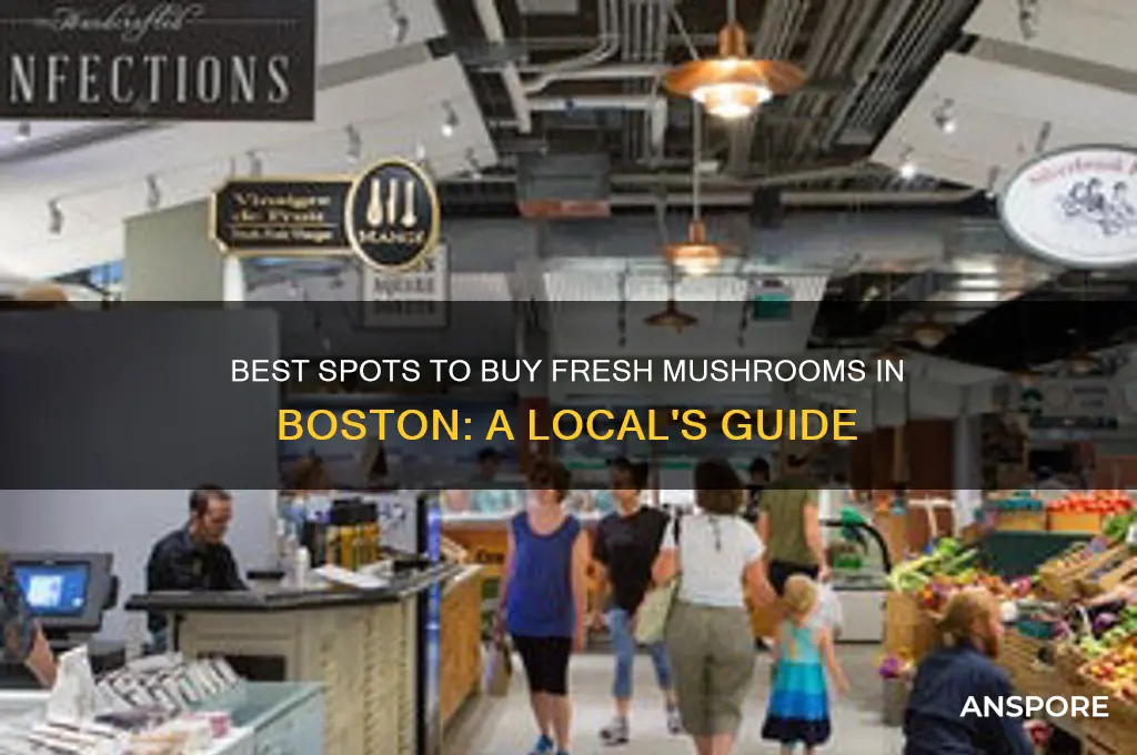 where to buy mushrooms boston