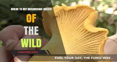 Best Places to Buy Mushrooms in Breath of the Wild