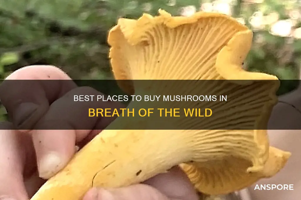 where to buy mushrooms breath of the wild