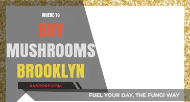 Best Spots to Buy Fresh Mushrooms in Brooklyn: A Local's Guide