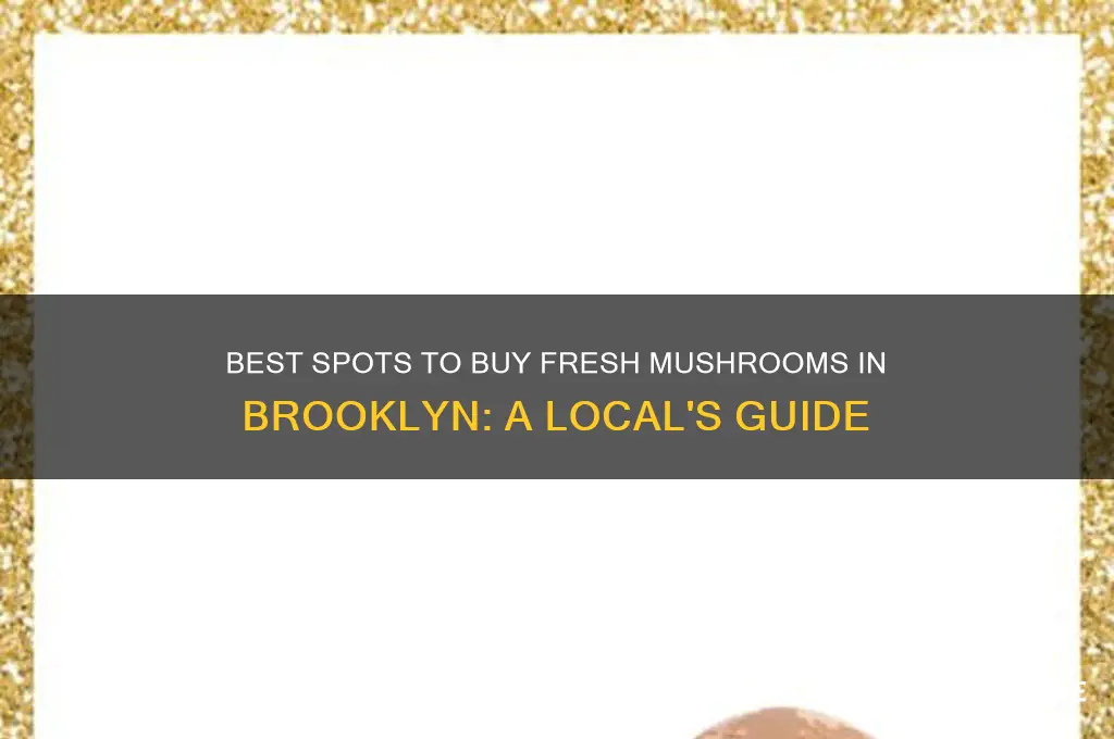where to buy mushrooms brooklyn