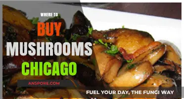 Best Spots to Buy Fresh Mushrooms in Chicago: A Local's Guide