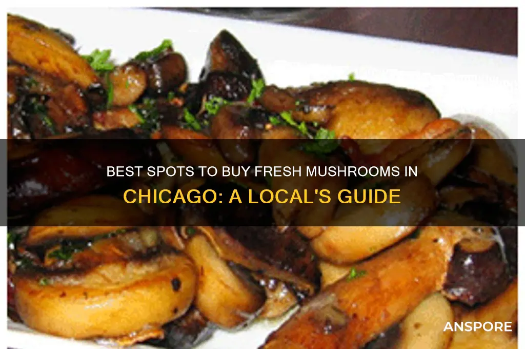 where to buy mushrooms chicago