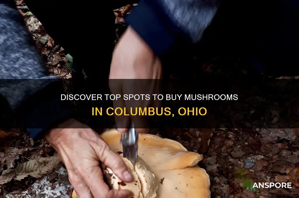 where to buy mushrooms columbus ha