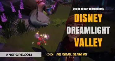 Best Spots to Buy Mushrooms in Disney Dreamlight Valley