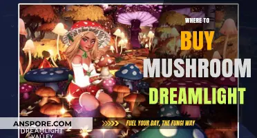 Discover Top Sources to Buy Dreamlight Mushrooms Online & Locally