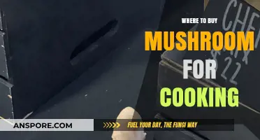 Best Places to Buy Fresh Mushrooms for Cooking: A Guide