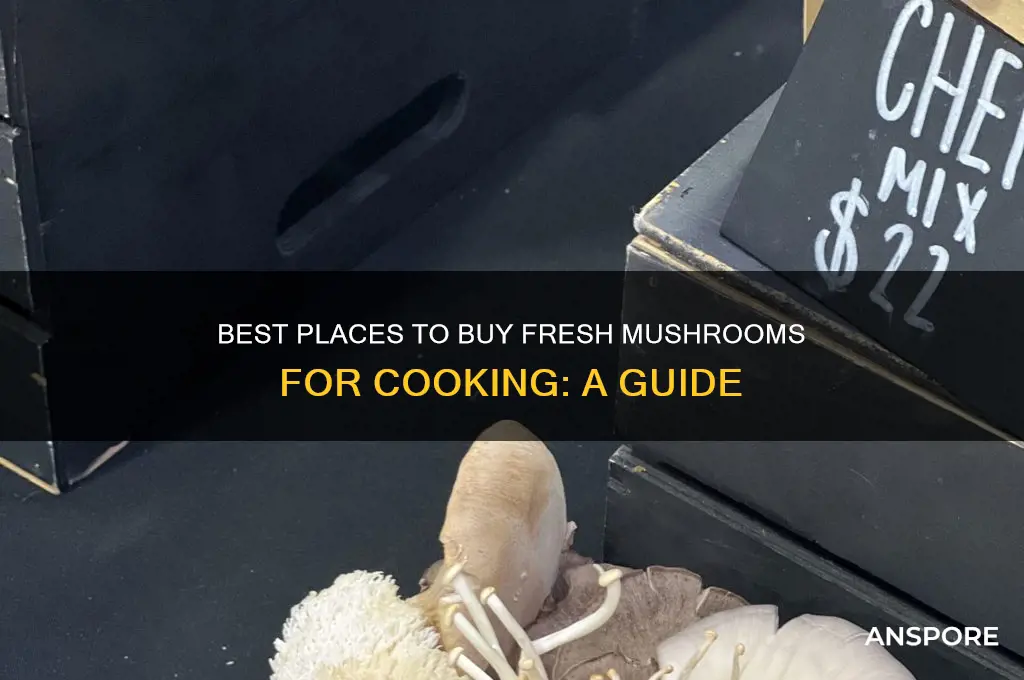 where to buy mushrooms for cooking