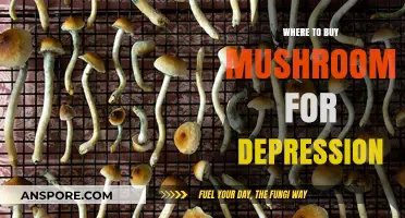 Finding Relief: Best Sources to Buy Mushrooms for Depression Treatment