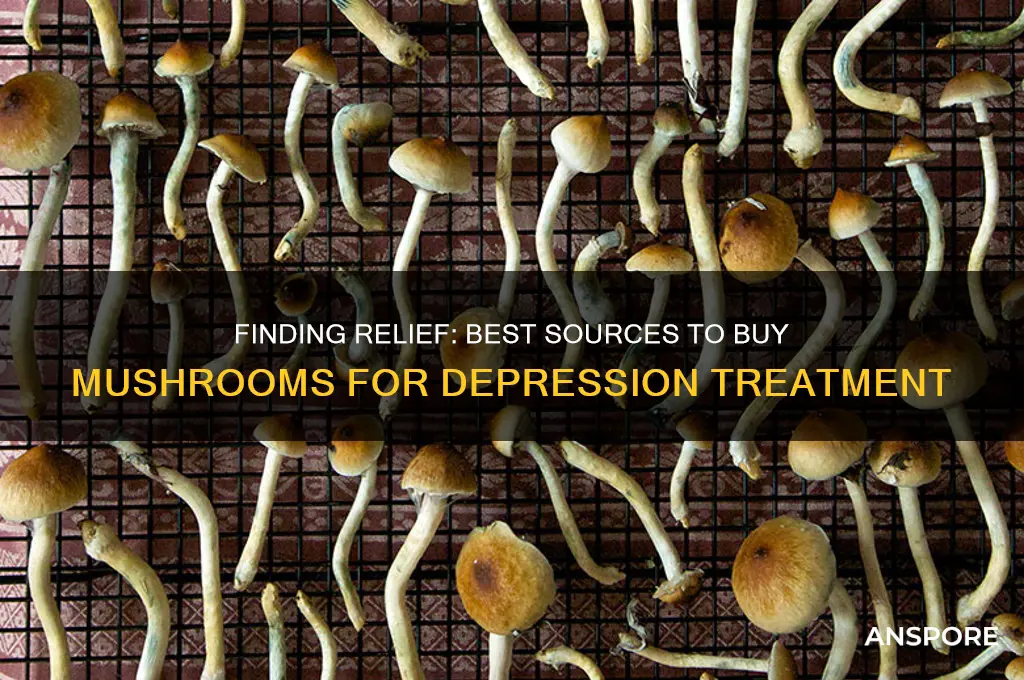 where to buy mushrooms for depression