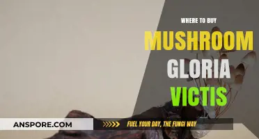 Gloria Victis Mushroom Guide: Best Places to Purchase In-Game Fungi