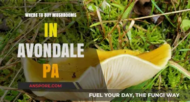 Discover Avondale, PA's Best Spots to Buy Fresh Mushrooms