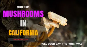 Discover California's Best Spots to Buy Fresh Mushrooms Locally