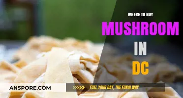 Discover Top Spots to Buy Fresh Mushrooms in Washington DC