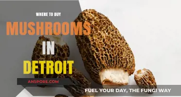 Discover Detroit's Best Spots to Buy Fresh Mushrooms Locally