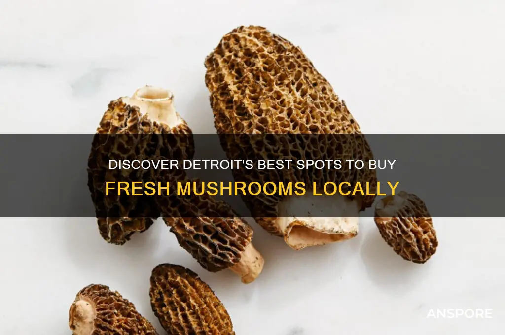 where to buy mushrooms in detroit