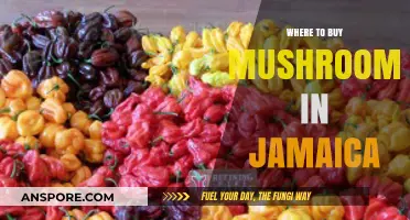 Discover Jamaica's Best Spots to Buy Fresh, Exotic Mushrooms