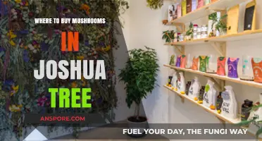 Best Spots to Buy Fresh Mushrooms in Joshua Tree
