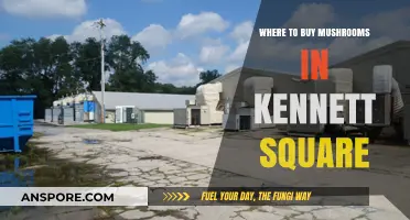 Discover Kennett Square's Best Spots to Buy Fresh Mushrooms