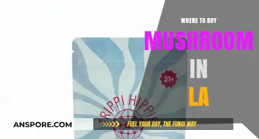 Discover LA's Best Spots to Buy Fresh and Exotic Mushrooms