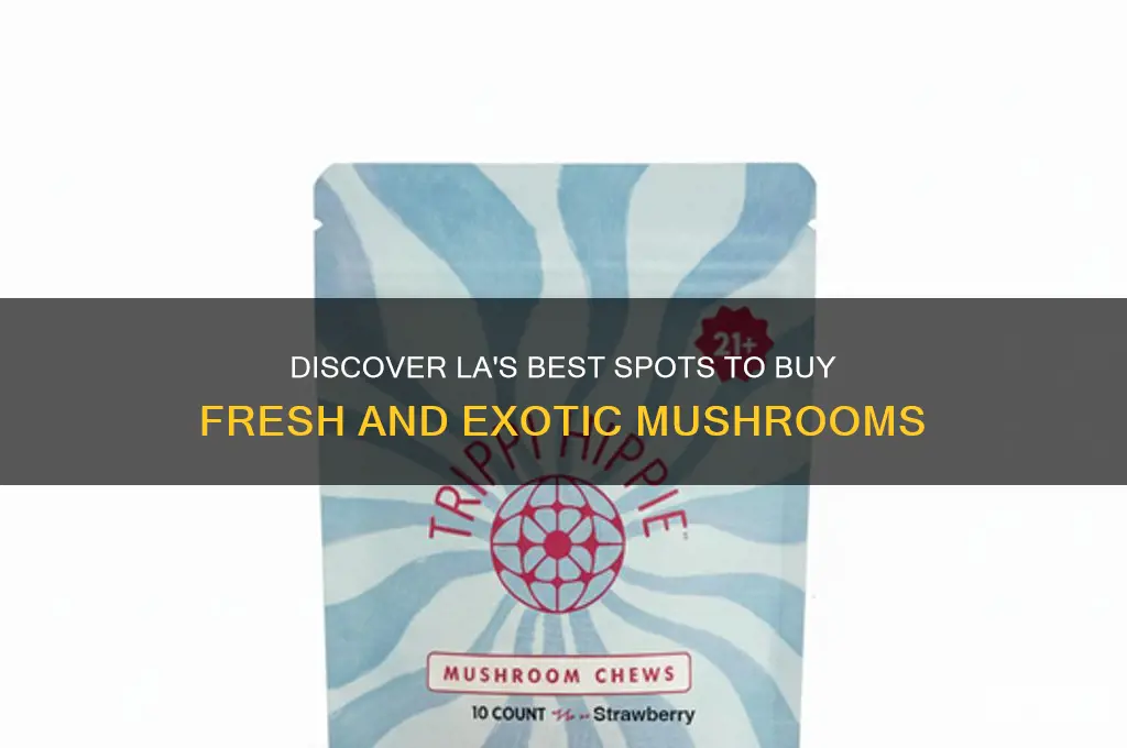 where to buy mushrooms in la