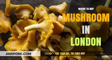 Discover London's Best Spots to Buy Fresh Mushrooms Today