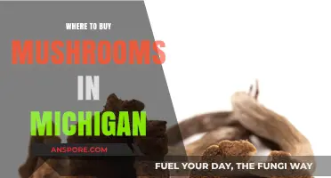 Discover Michigan's Best Spots to Buy Fresh, Local Mushrooms
