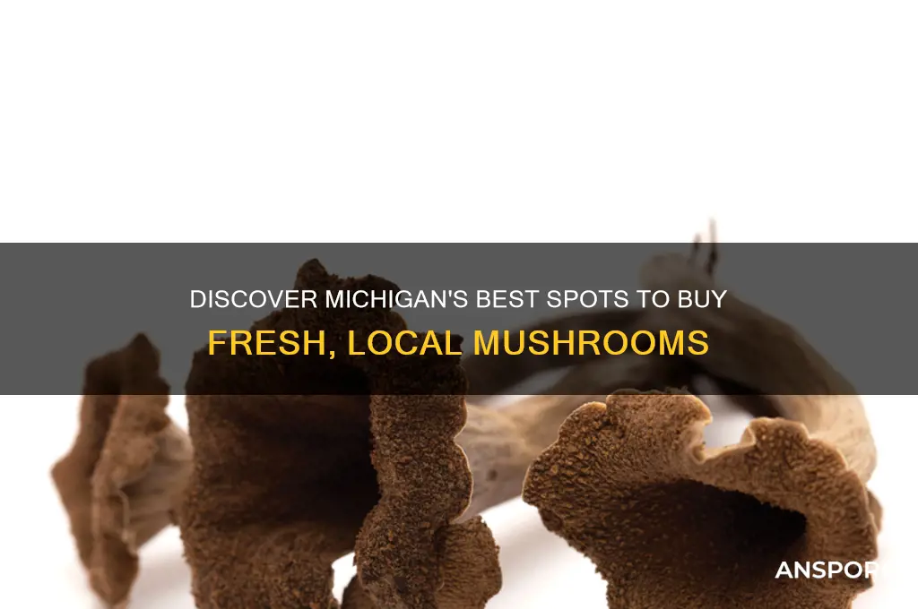 where to buy mushrooms in michigan