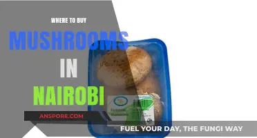 Discover Nairobi's Best Spots to Buy Fresh Mushrooms Easily
