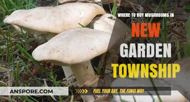 Discover Fresh Mushrooms in New Garden Township: Top Local Sources
