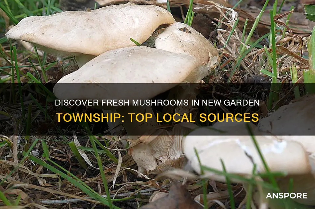 where to buy mushrooms in new garden township