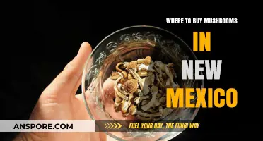 Discover the Best Spots to Buy Fresh Mushrooms in New Mexico