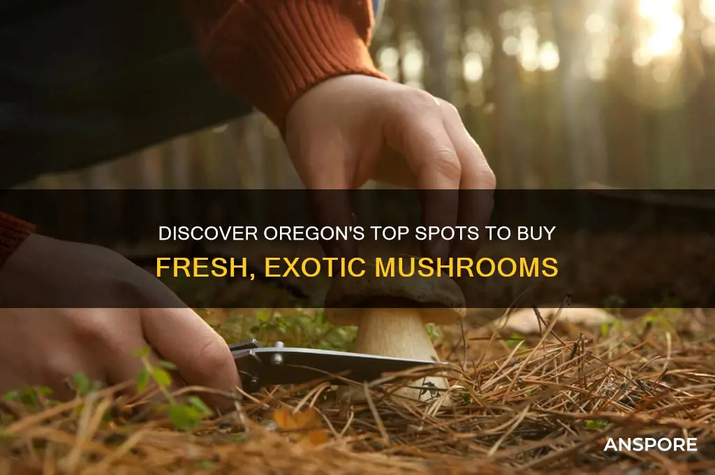 where to buy mushrooms in oregon