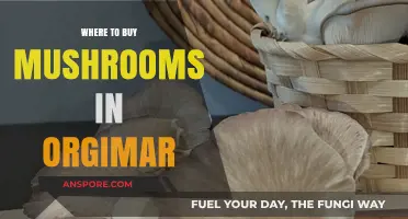 Best Spots to Buy Fresh Mushrooms in Orgrimmar: A Guide