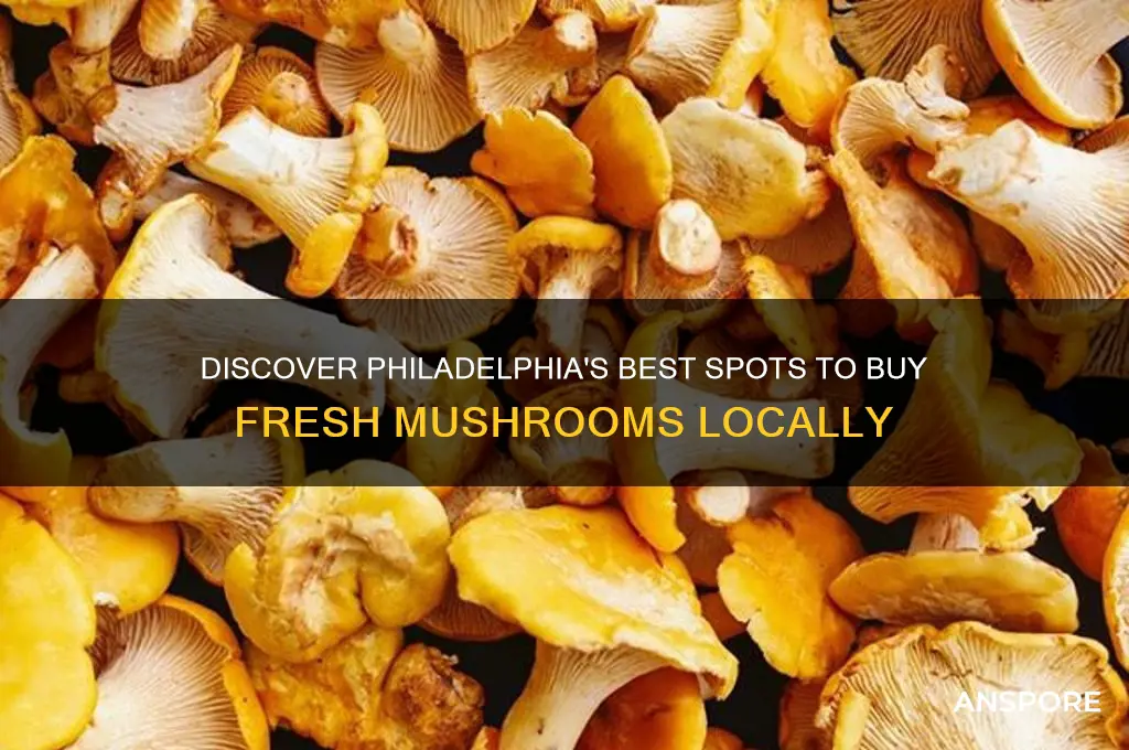 where to buy mushrooms in philadelphia
