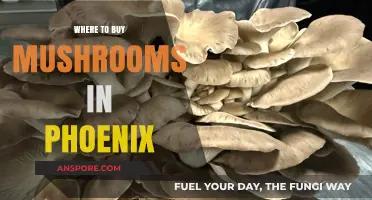 Discover Phoenix's Best Spots to Buy Fresh Mushrooms Locally